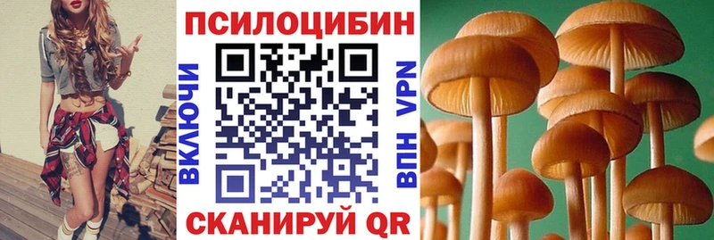 Галлюциногенные грибы GOLDEN TEACHER  хочу   MEGA ССЫЛКА  Бердск 